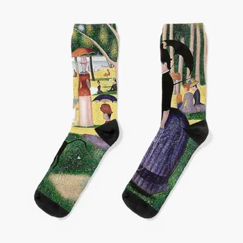 Жорж Сера Неделя следобед на остров ла Гранде-жатте известни чорапи с шарени Стартират нескользящие футболни чорапи